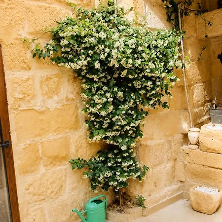 Charming Double With Pool In * Marsaxlokk